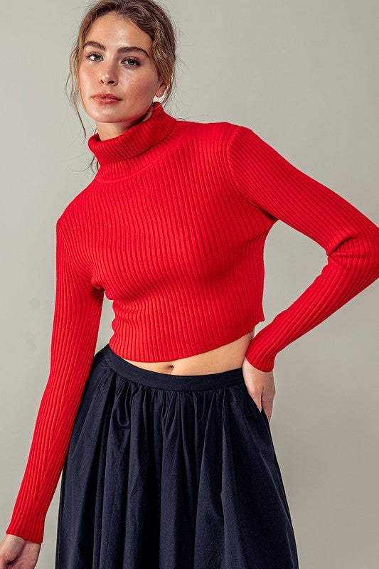 Aziel Cropped Turtleneck